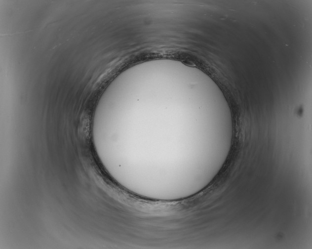 X0000116130036200912141120