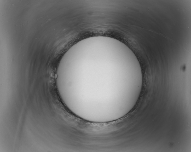 X0000116130037200912141120