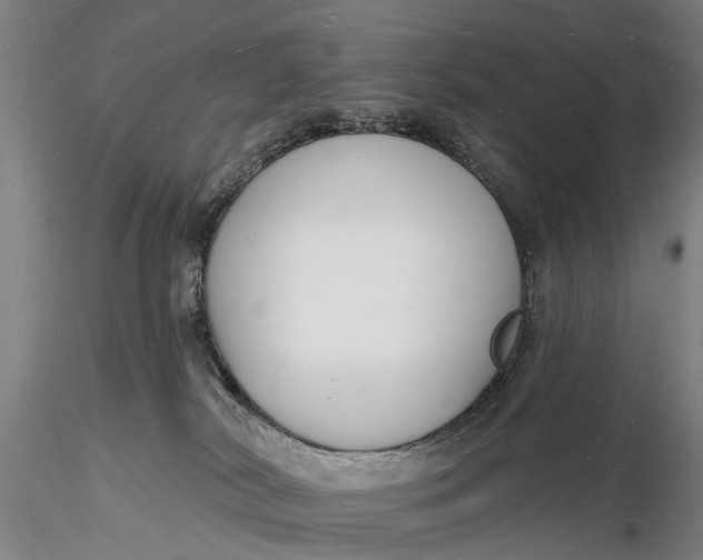 X0000116130038200912141119