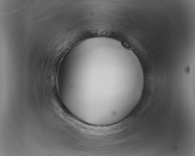 X0000116130039200912141119