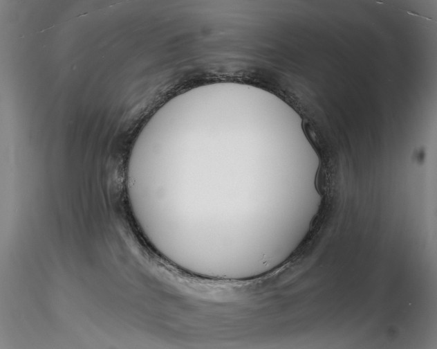 X0000116130040200912141119