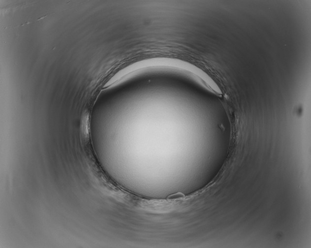 X0000116130041200912141119