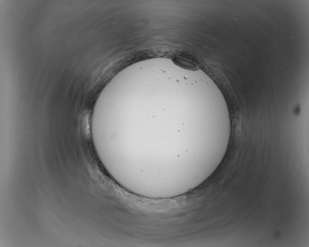 X0000116130042200912141119
