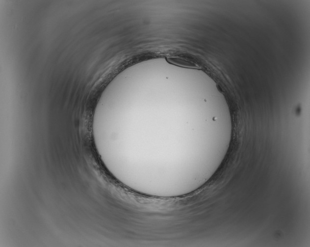 X0000116130044200912141119