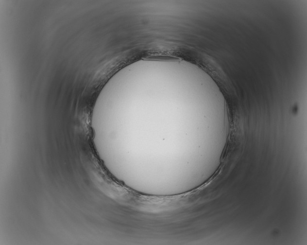 X0000116130045200912141119