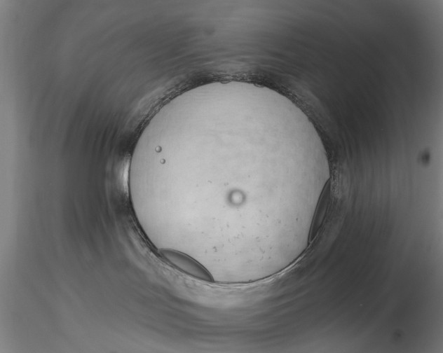 X0000116130047200912141119