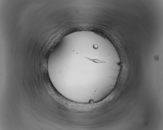X0000116130048200912141119