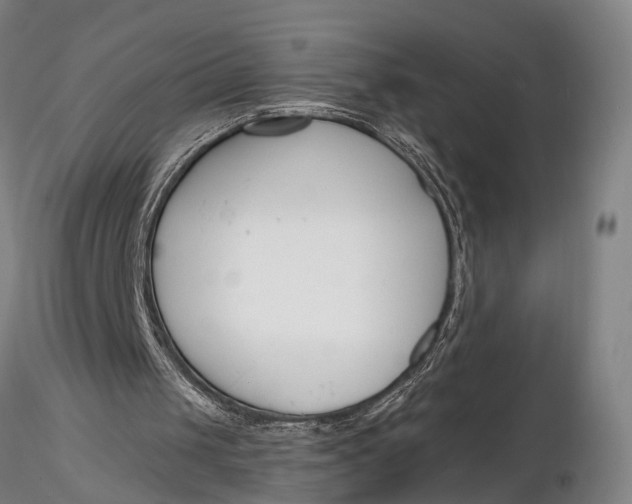 X0000116130049200912141119
