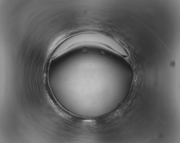 X0000116130053200912141119
