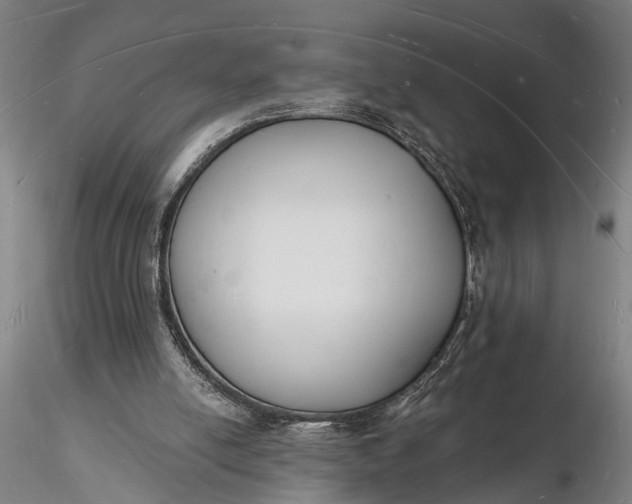 X0000116130054200912141119