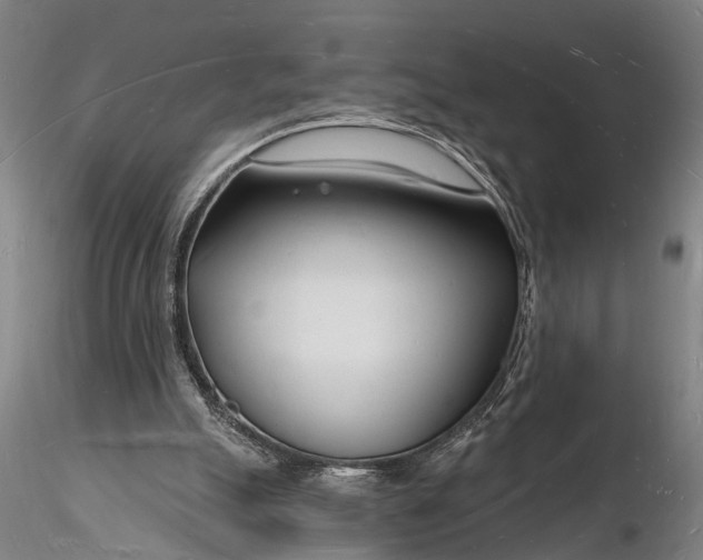 X0000116130055200912141119
