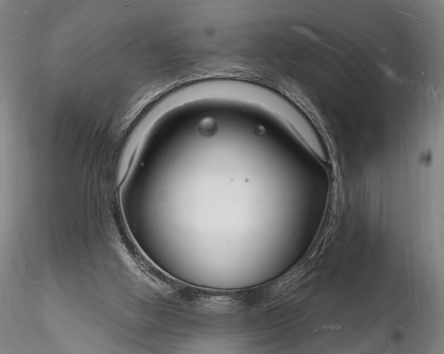 X0000116130058200912141119