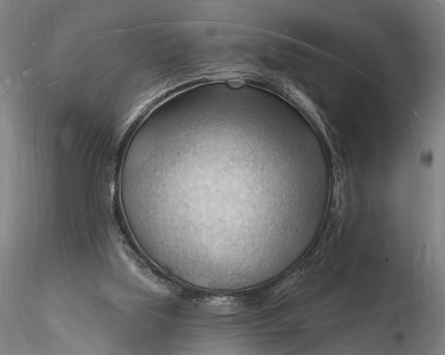 X0000116130059200912141119