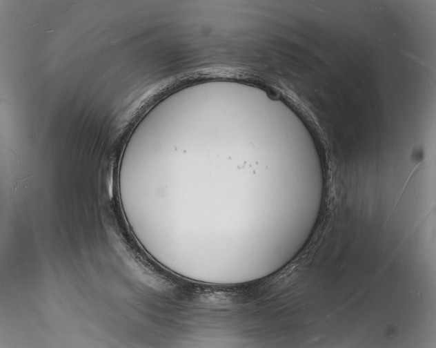 X0000116130062200912141119