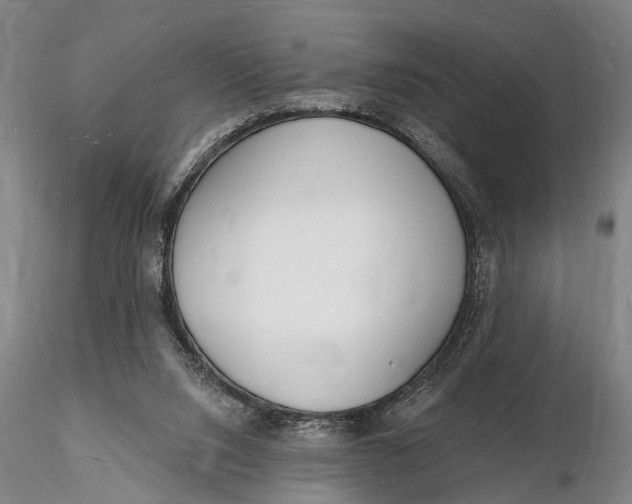 X0000116130064200912141119
