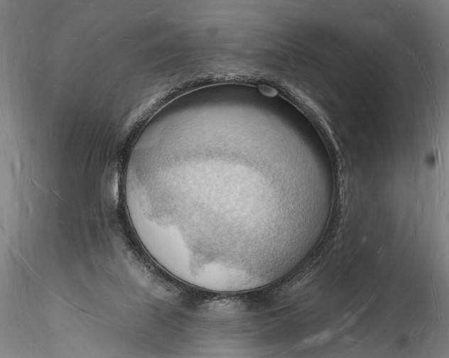 X0000116130067200912141119