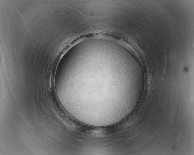 X0000116130068200912141119