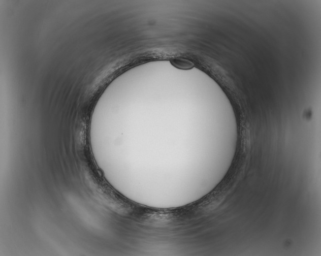 X0000116130071200912141119