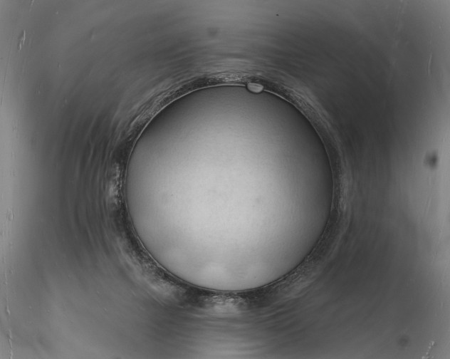 X0000116130073200912141119