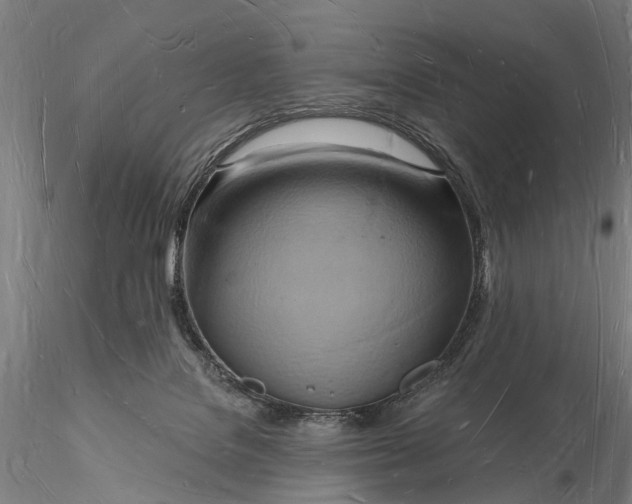 X0000116130076200912141119