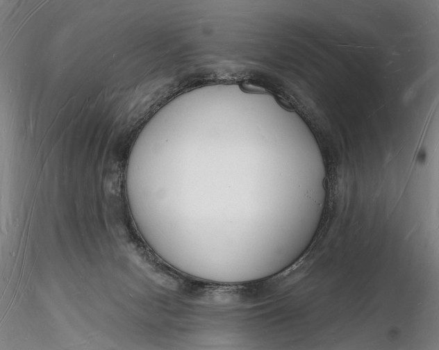 X0000116130078200912141119