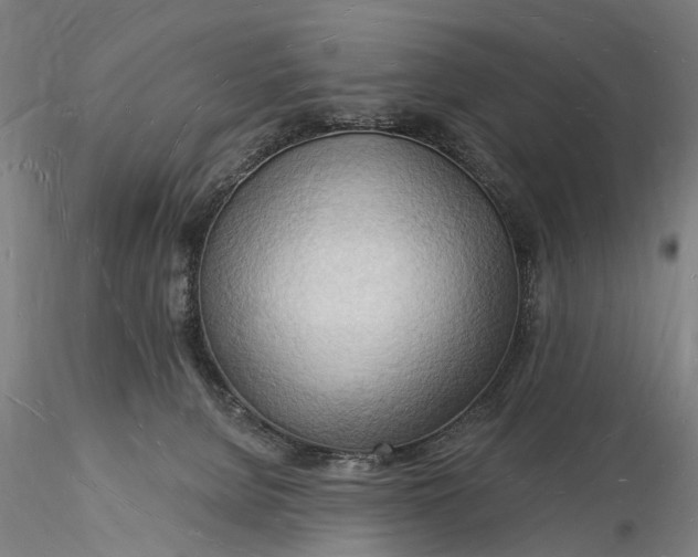 X0000116130080200912141119