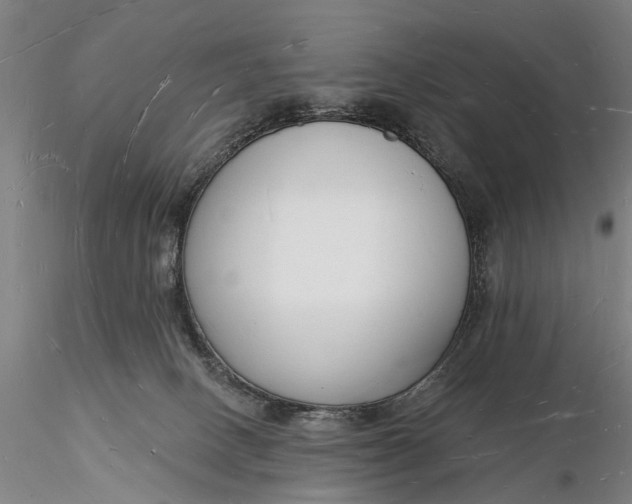 X0000116130082200912141119
