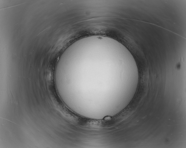 X0000116130084200912141119