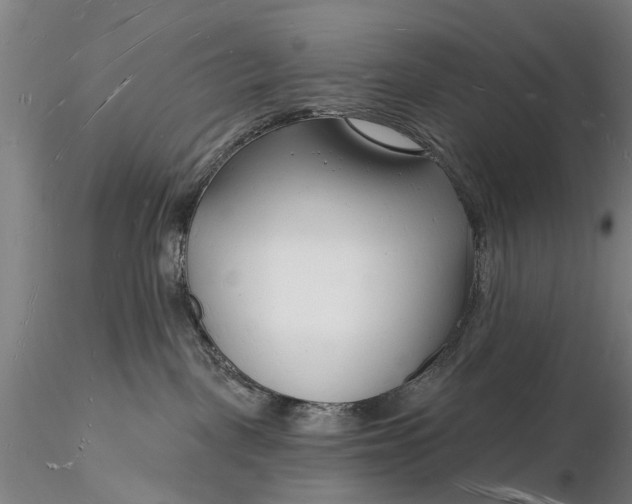 X0000116130093200912141119