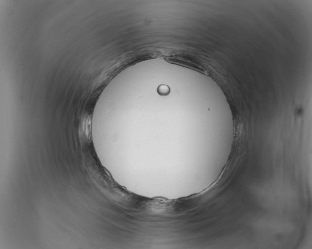X0000116130094200912141119