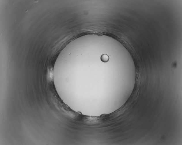 X0000116130095200912141119