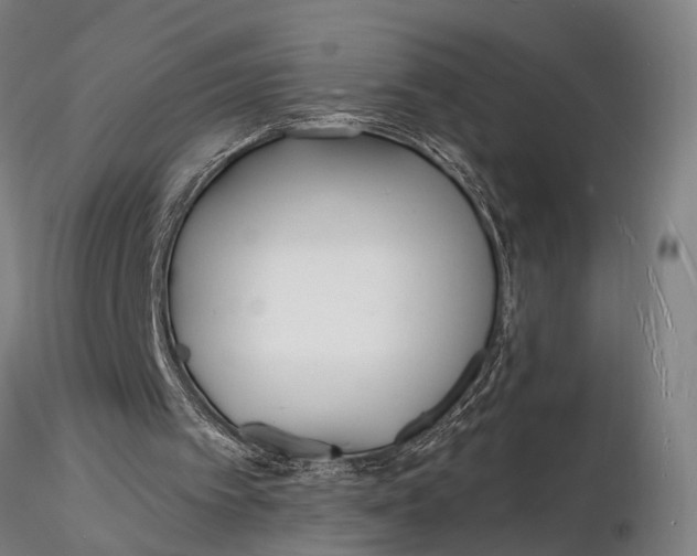 X0000116130097200912141119