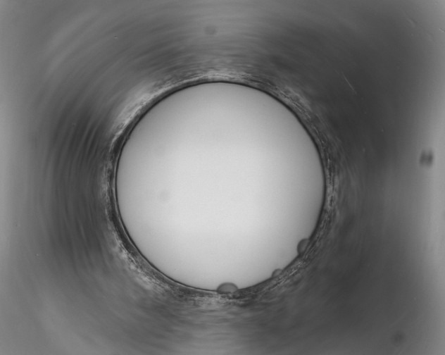 X0000116130098200912141118