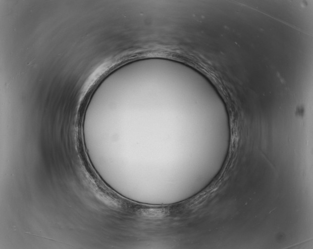X0000116130102200912141118