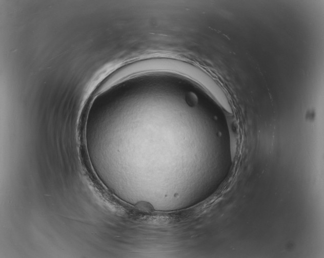 X0000116130104200912141118
