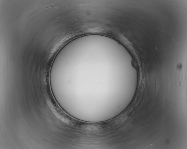 X0000116130106200912141118