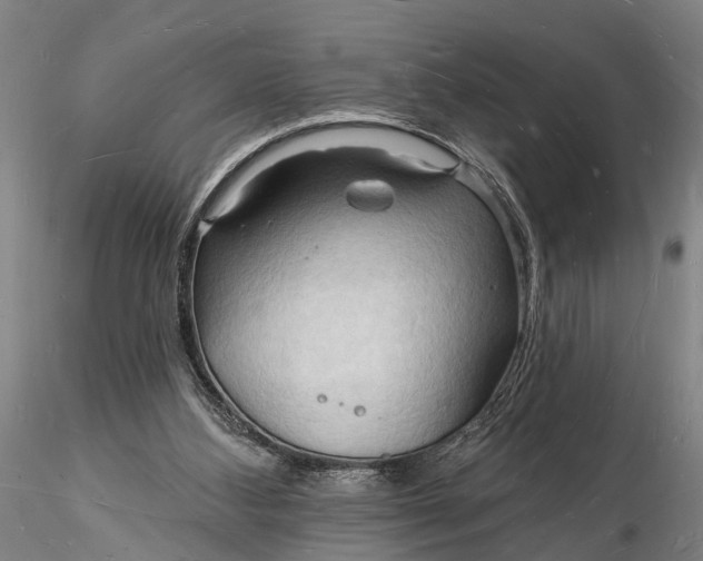 X0000116130108200912141118
