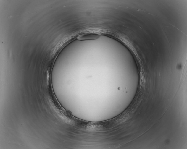 X0000116130109200912141118