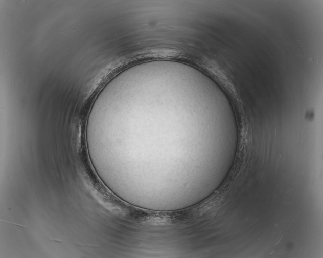 X0000116130110200912141118