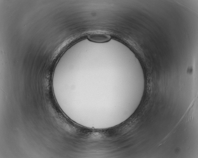 X0000116130111200912141118