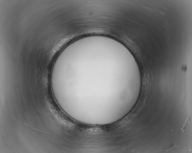 X0000116130112200912141118