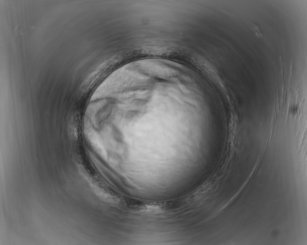 X0000116130114200912141118