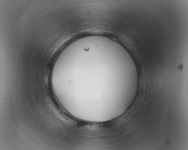 X0000116130120200912141118