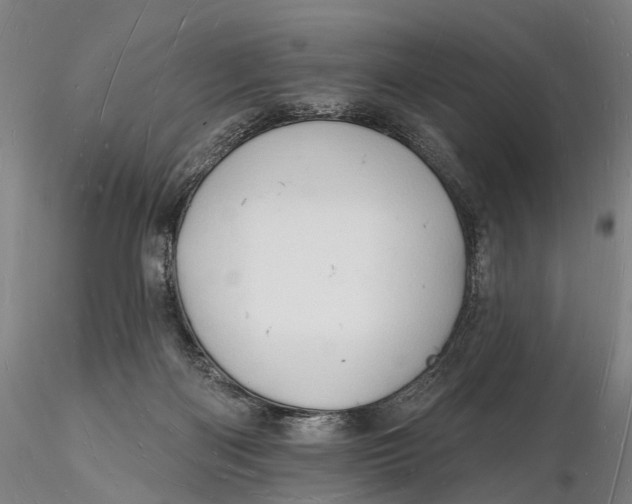 X0000116130122200912141118