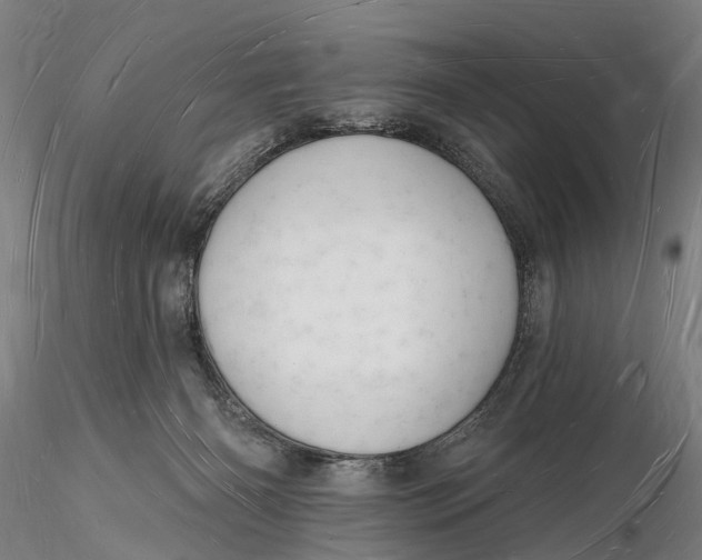 X0000116130126200912141118