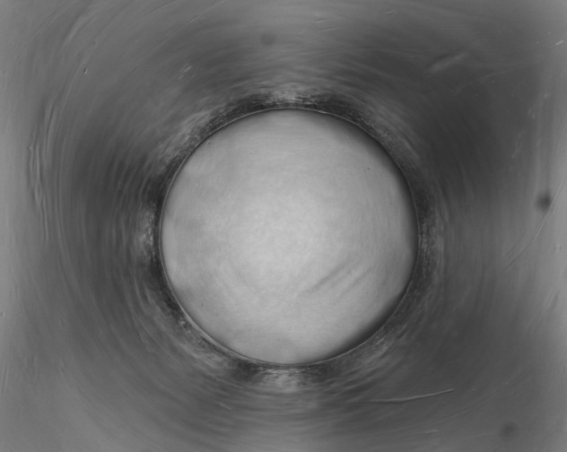 X0000116130127200912141118