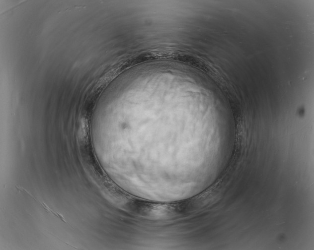 X0000116130130200912141118
