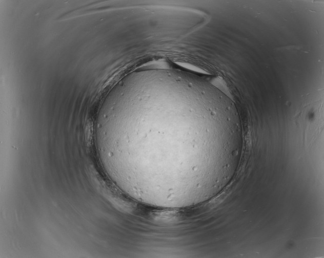 X0000116130132200912141118