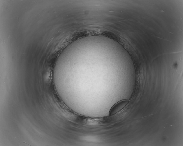 X0000116130134200912141118