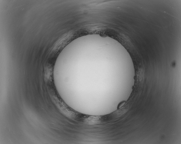 X0000116130138200912141118